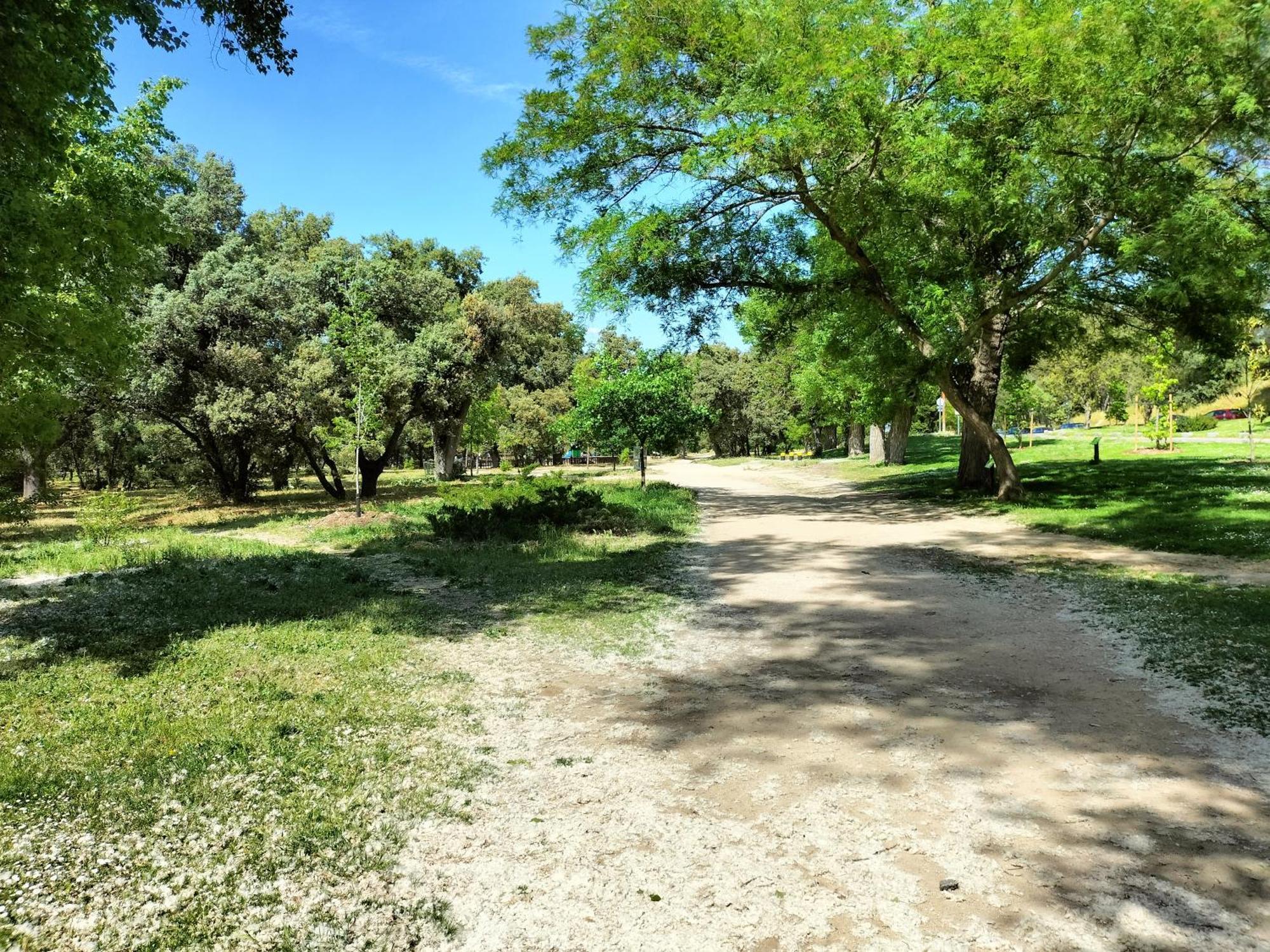 The Greenhouse Μαδρίτη Εξωτερικό φωτογραφία